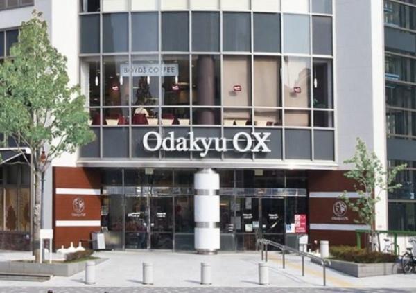 シティテラス多摩川Ｃ棟