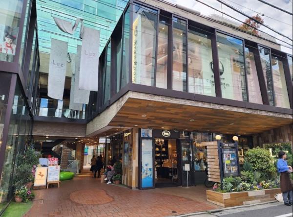 パシフィック自由ケ丘マンション(Luz自由が丘)
