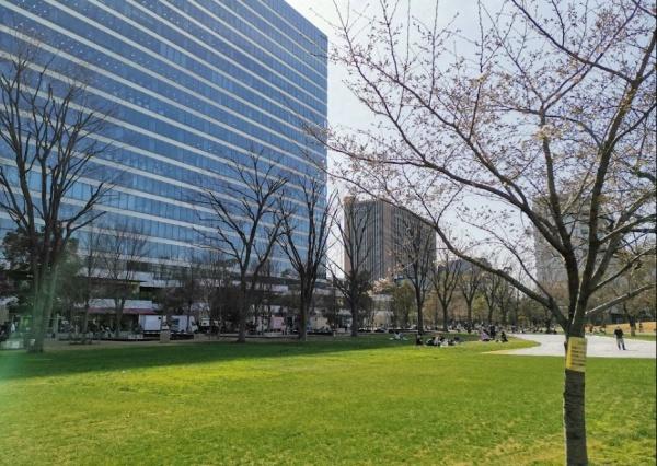 パークホームズ中野中央フォーシーズンコート(中野区立中野四季の森公園)