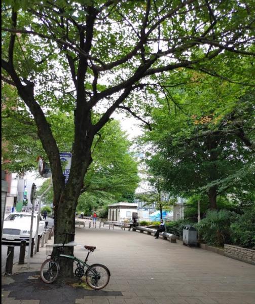 ソネット上池袋(池袋駅前公園)
