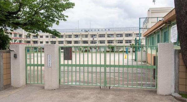ヴィルヌーブタワー駒沢(世田谷区立旭小学校)