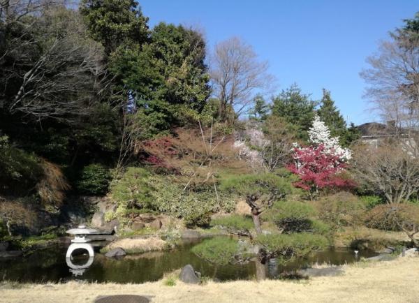 ス力一ラ代官山(西郷山公園)