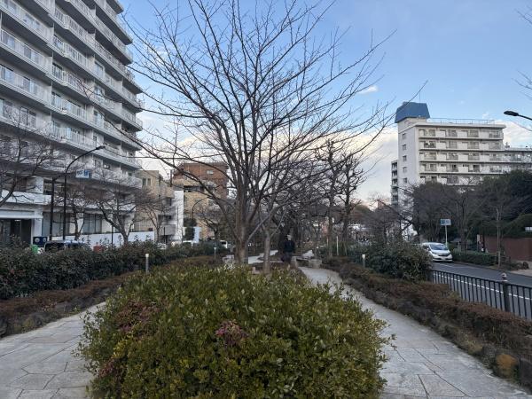 ルジェンテ小石川播磨坂