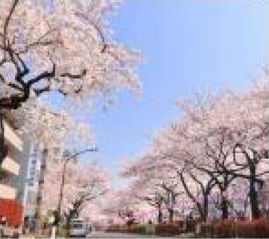ルジェンテ小石川播磨坂