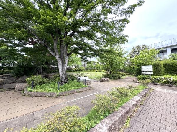 パークハウス世田谷松原(世田谷区立赤松ぼっくり庭園緑地)