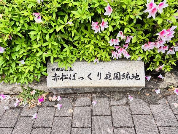 パークハウス世田谷松原