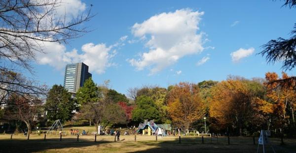 クレッセント渋谷神泉(目黒区立菅刈公園)