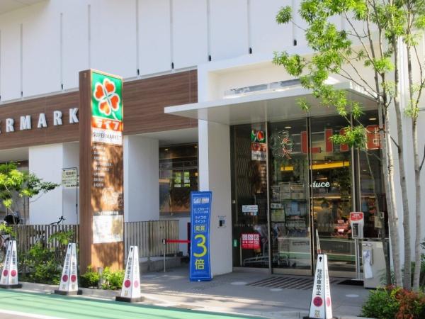 パークコート市谷仲之町(ライフ市谷薬王寺店)