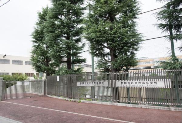 芦花公園プレスティージュ(世田谷区立芦花中学校)