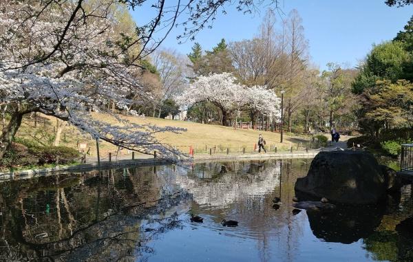 杉並区堀ノ内３丁目の新築一戸建(蚕糸の森公園)