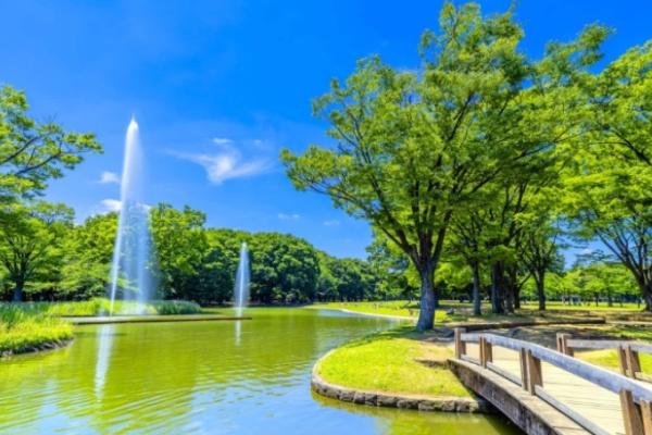 日神パレステージ代々木公園(東京都立代々木公園)