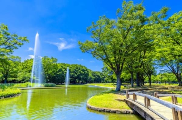 チサンマンション参宮橋(東京都立代々木公園)