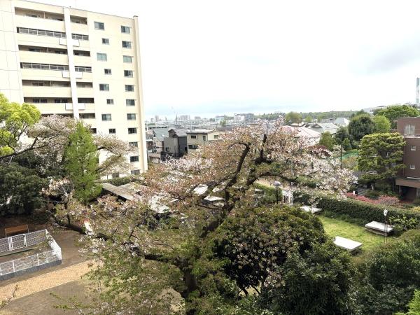 馬事公苑前ハイム２号棟