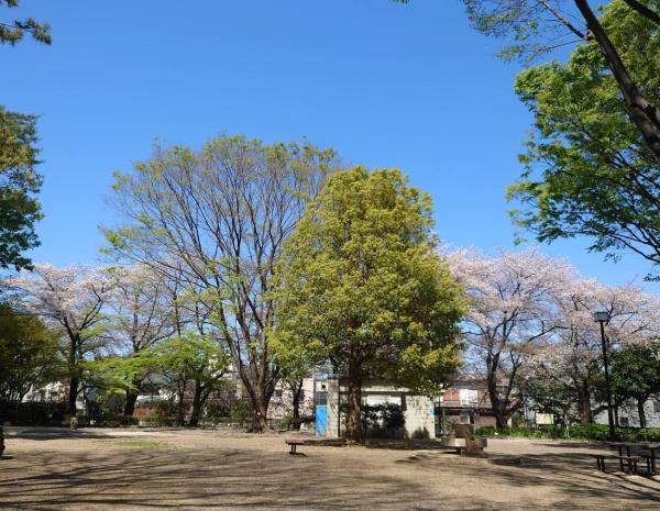 ハイコート浜田山壱丁目(塚山公園)