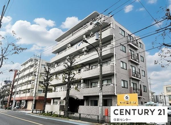 ドムール江古田