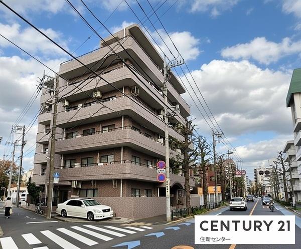 ドムール江古田