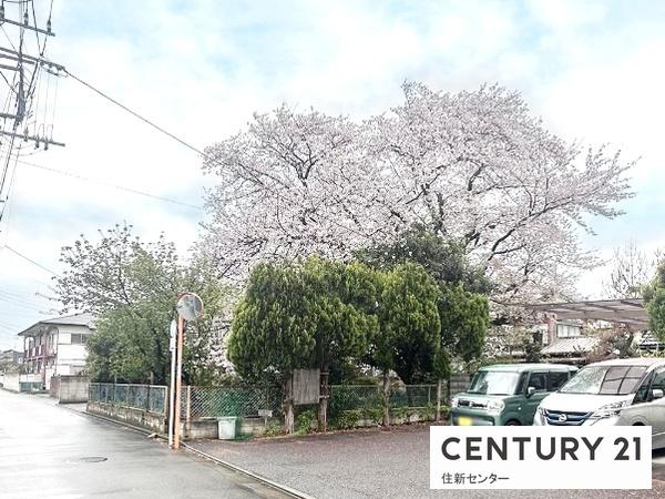 三鷹市野崎１丁目の売土地