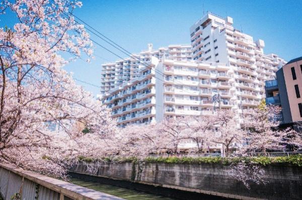 マンション雅叙苑５号館