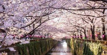 目黒区青葉台１丁目の中古一戸建て