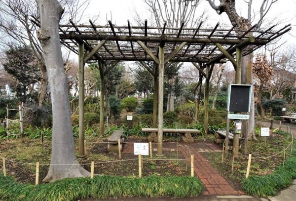 世田谷区玉川台１丁目の中古一戸建て(用賀北小緑地)