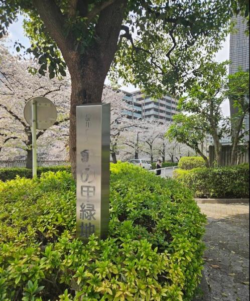 五反田ガーデンハイツ(亀の甲緑地)