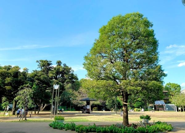 ピアース白金台三丁目(白金台どんぐり児童遊園)