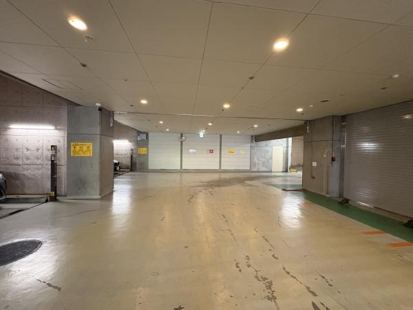 レジオン白金クロス