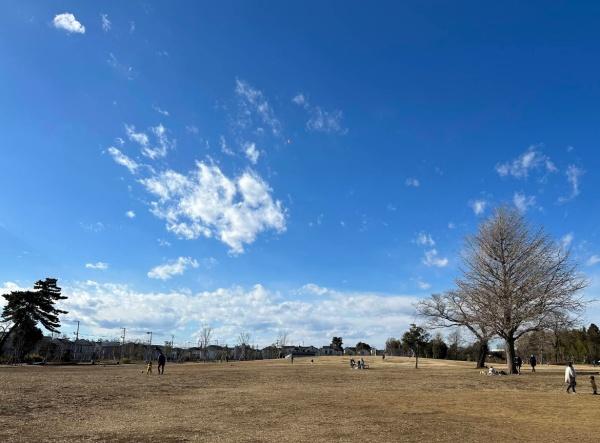 ミリオンコート烏山(東京都立高井戸公園)