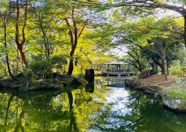 パークハイム上井草(井草森公園)