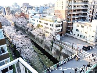 フォレステージ西早稲田
