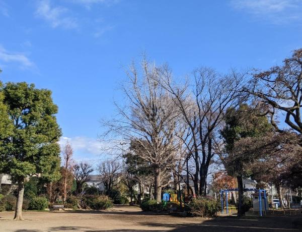 ライオンズマンション調布ヶ丘(布多公園)