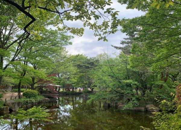 グランドメゾン杉並シーズン６(井草森公園)