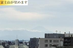 ハイネスロフティ