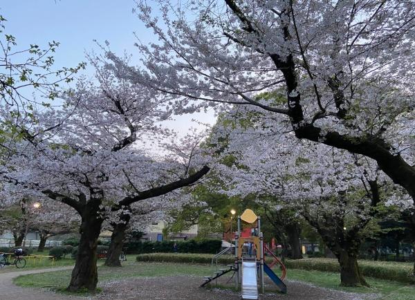 杉並区成田東１丁目の中古一戸建て(東京都立和田堀公園)