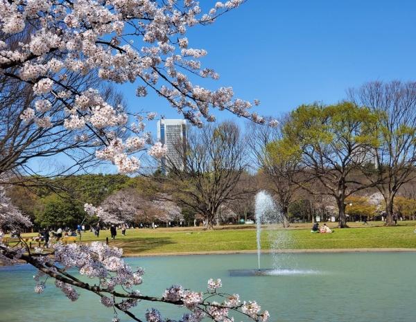 オープンレジデンシア初台(東京都立代々木公園)