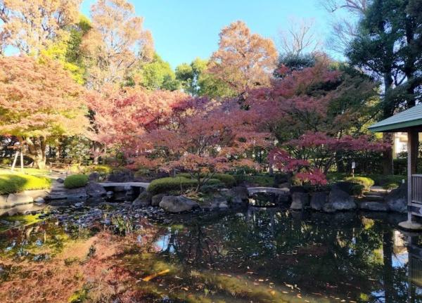 ライオンズマンション荻窪第６(大田黒公園)