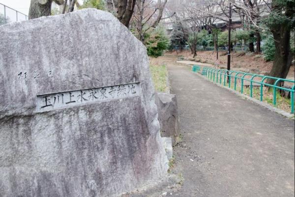 ハイツ下高井戸耐震基準適合証明・新宿渋谷六本木富士山眺望(玉川上水永泉寺緑地)