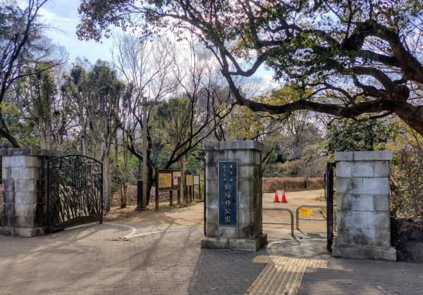 シーアイマンション駒場Ｂ棟(駒場野公園)