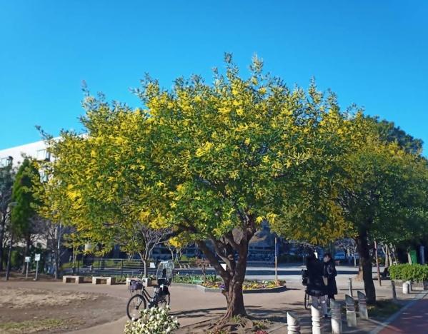ルフォン中野上鷺宮壱番館(風の子広場)