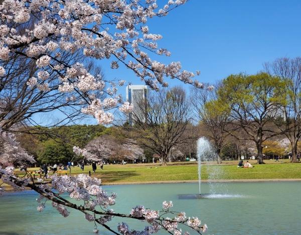 代々木公園ガーデニア(東京都立代々木公園)