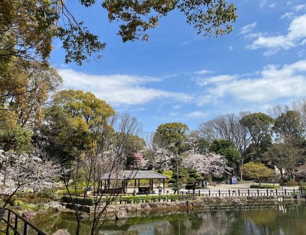 品川区豊町１丁目の中古一戸建て(戸越公園)