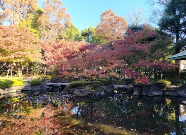 藤和シティホームズ南阿佐ヶ谷(大田黒公園)