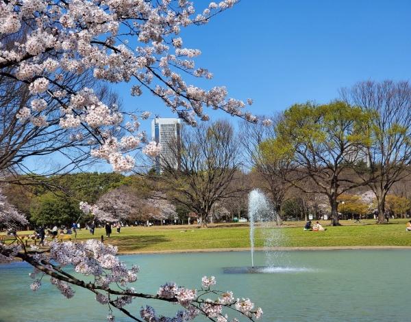 初台パークサイドハイツ(東京都立代々木公園)