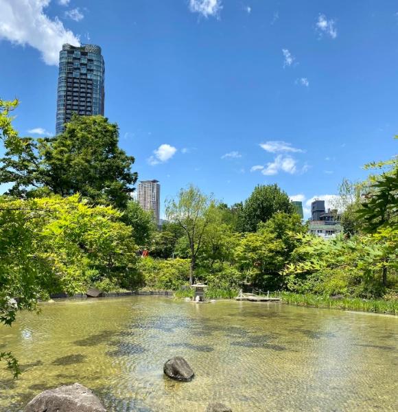 シティーマンション赤坂(区立檜町公園)