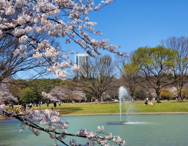グランベスタージュ代々木(東京都立代々木公園)