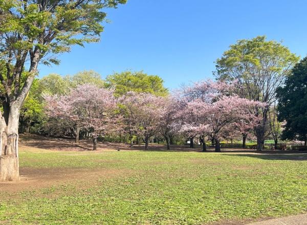 世田谷区祖師谷６丁目の新築一戸建(祖師谷公園)