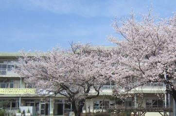 マンション仙川アゼリア(調布市立緑ヶ丘小学校)