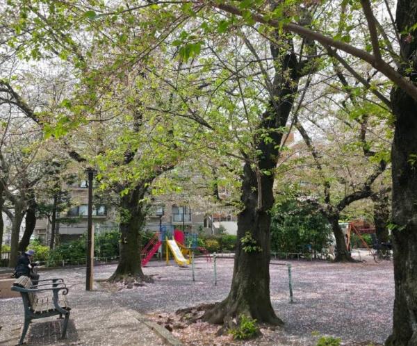 文京区本駒込５丁目の中古一戸建て(豊島区立駒込東公園)