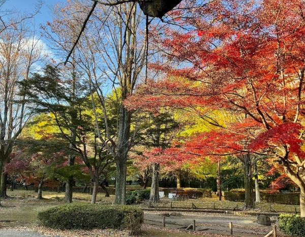 パークハイム三鷹(仙川平和公園)