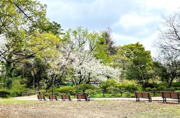 グレンパーク駒場ＥＡＳＴ(駒場野公園)